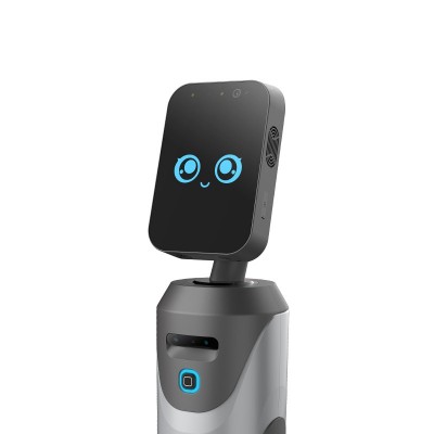 AI Robot with Welcome Guests and Intelligent Reception Consultation Service Robot图4