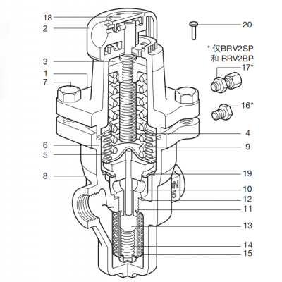 Direct Operated Pressure Regulator  BRV2S for  steam or gases图2