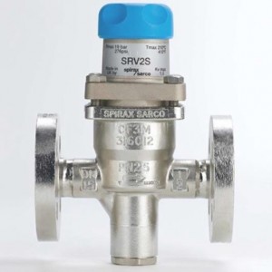 Direct Operated Pressure Regulator  BRV2S for  steam or gases