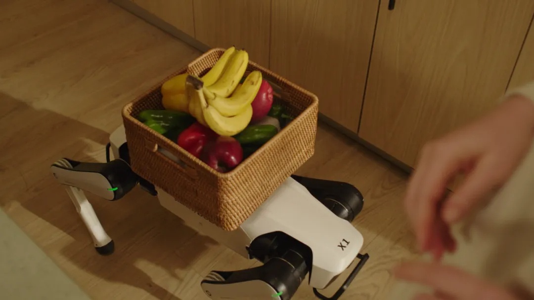 Dobot Unleashes Rover X1: A Practical Home Robot at ¥7,499