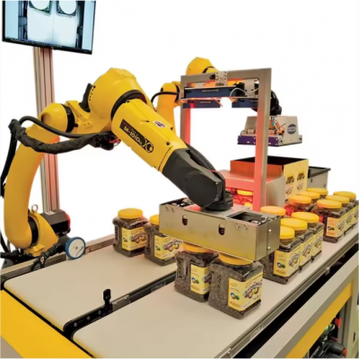 High Speed Stabl 6 Axis Robot Arm FANUC 10iD Series Max Payload 35kg for Mold Handling Polishing Pic