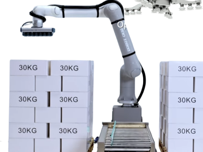 30kg Cobot Palletizer Universal Robots Dobot Robotic 6 Axis Arm Picking and Place Cobot Robot Image 3
