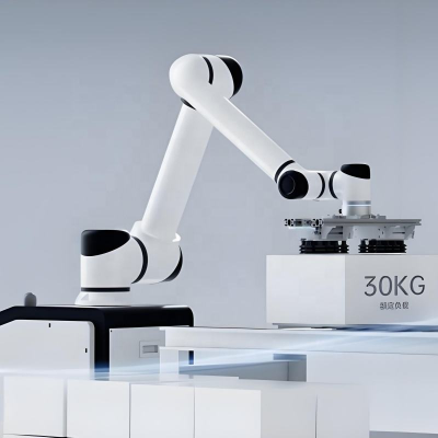 AGV and Hans 6 Axis Collaborative Robot Cobot Robotic Arm for Palletizing Material Image 2